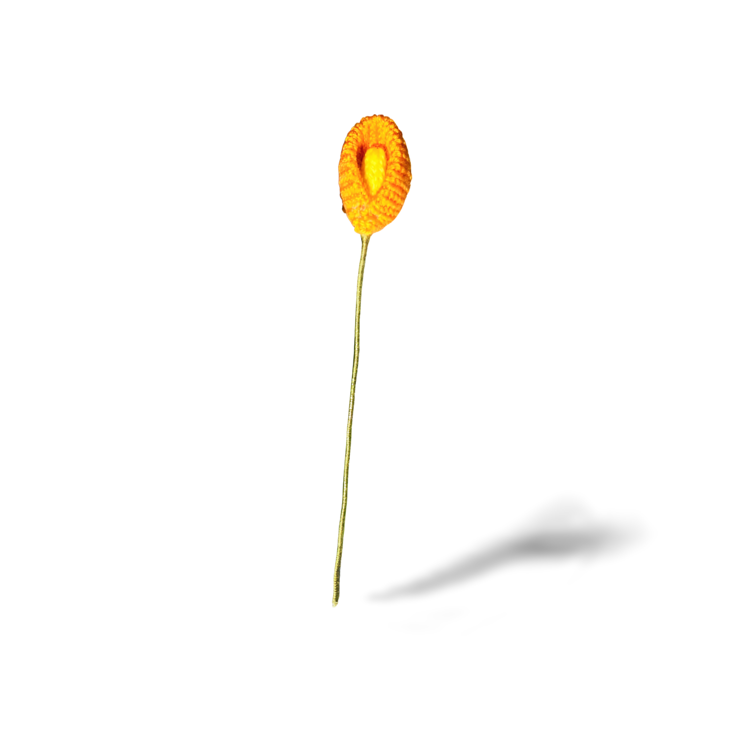 Calla Lily Flowers
