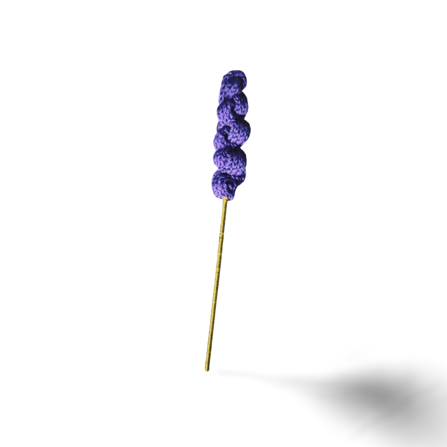 Lavender Flowers
