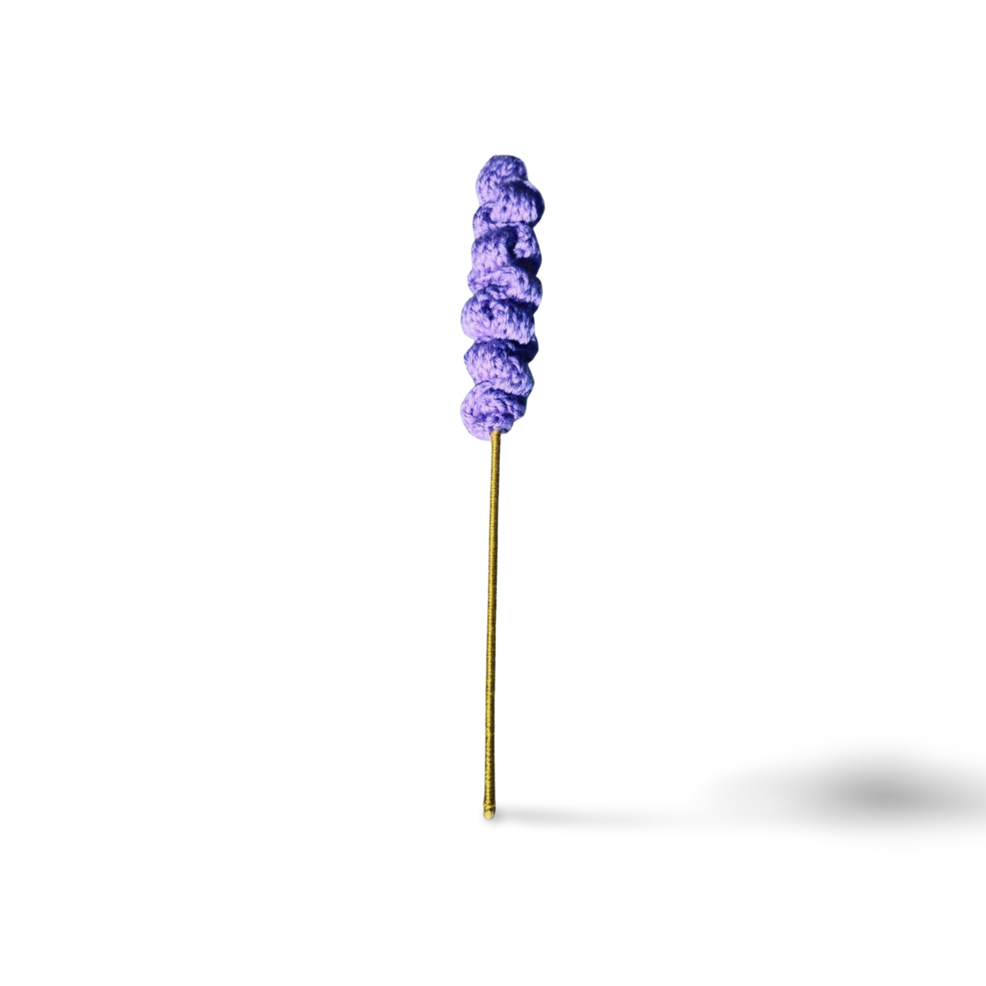 Lavender Flowers