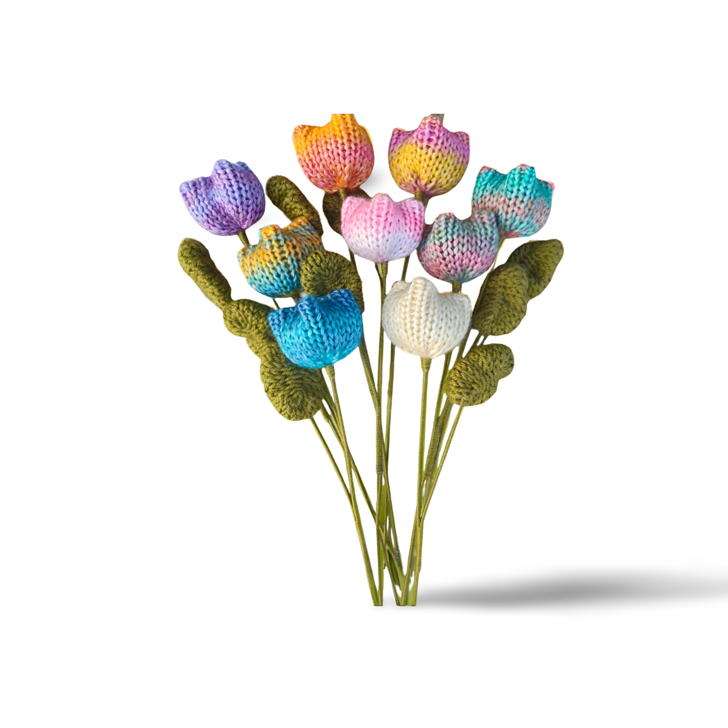 Rainbow Tulip Flowers