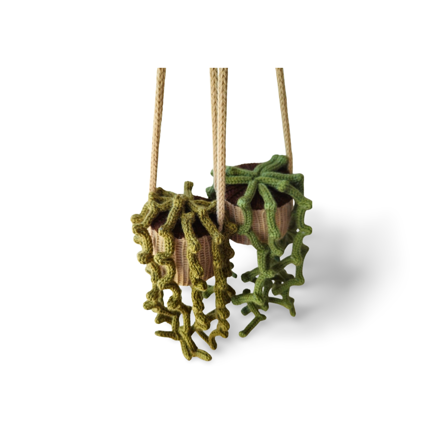 String of Pearls Hanging Plant - Bianca La Luna Knits