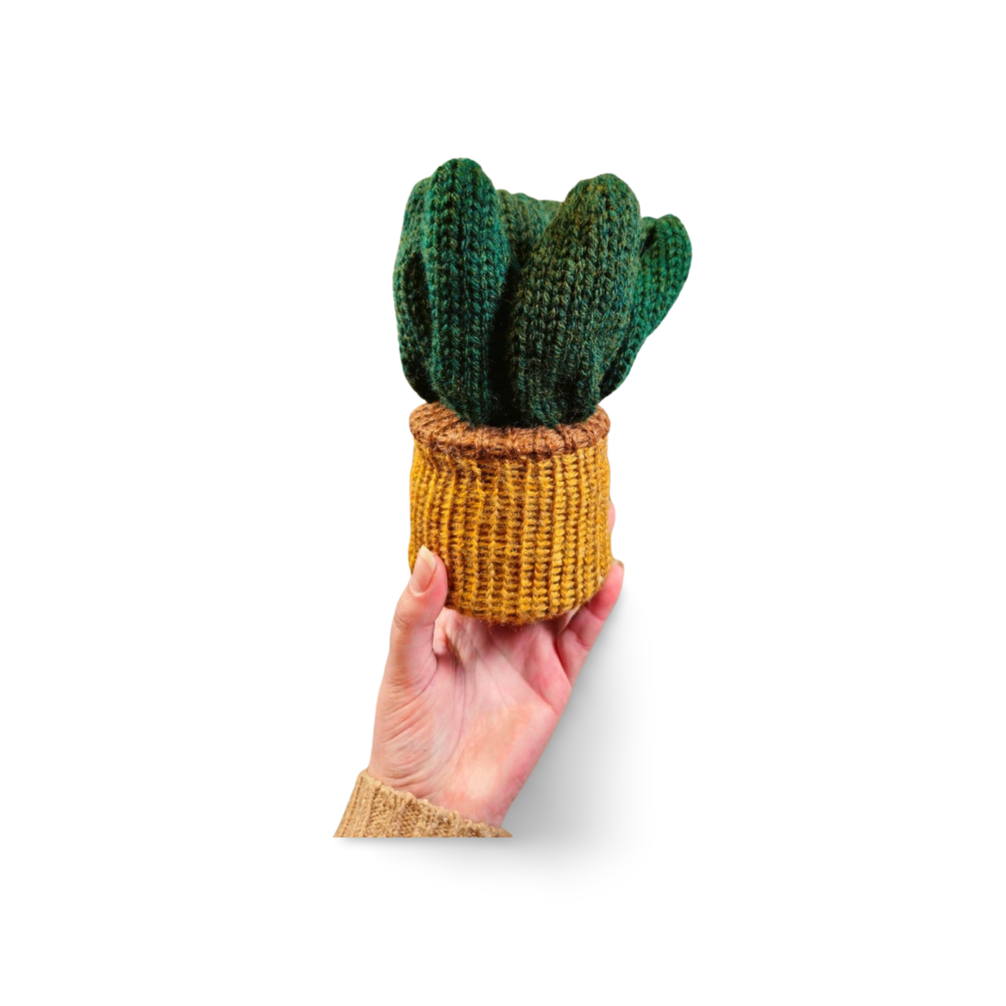 Aloe Plant - Bianca La Luna Knits