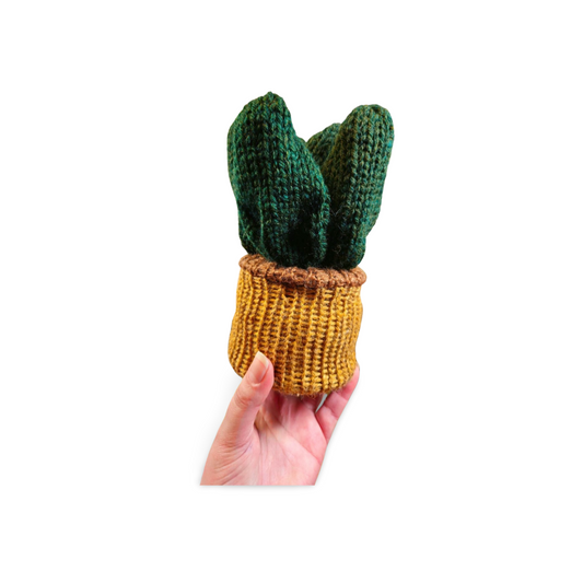 Aloe Plant - Bianca La Luna Knits