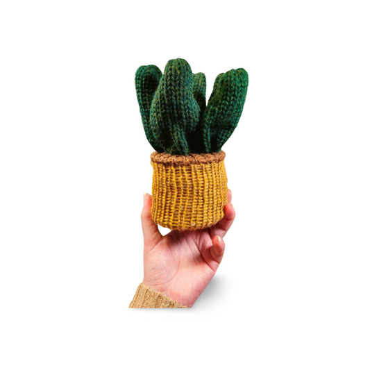 Aloe Plant - Bianca La Luna Knits