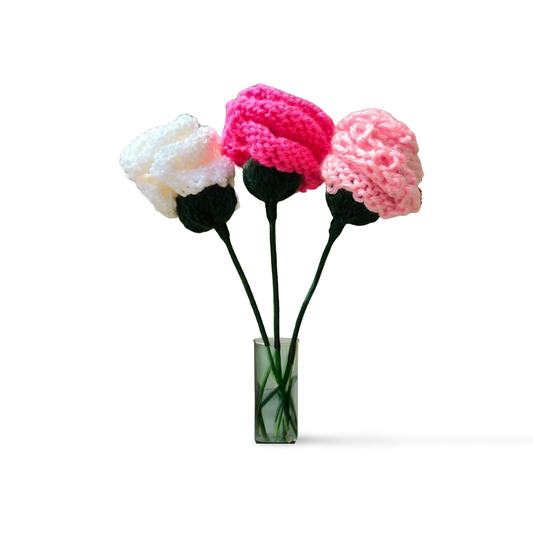 Carnation Flowers