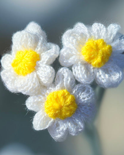 Daisy Flowers - Bianca La Luna Knits