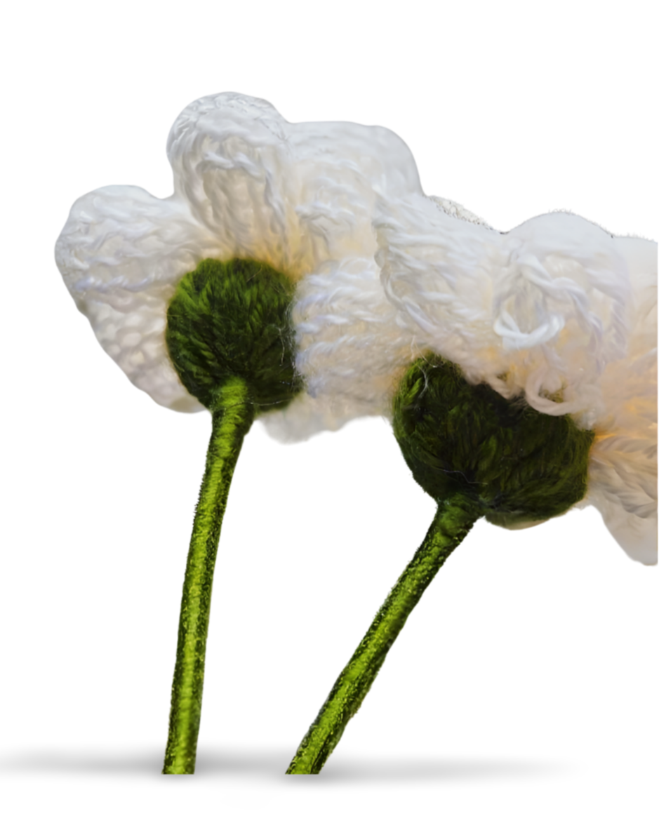 Daisy Flowers - Bianca La Luna Knits
