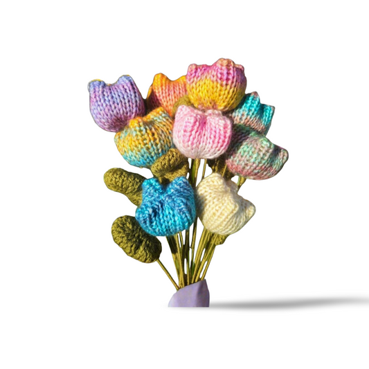 Rainbow Tulip Flowers