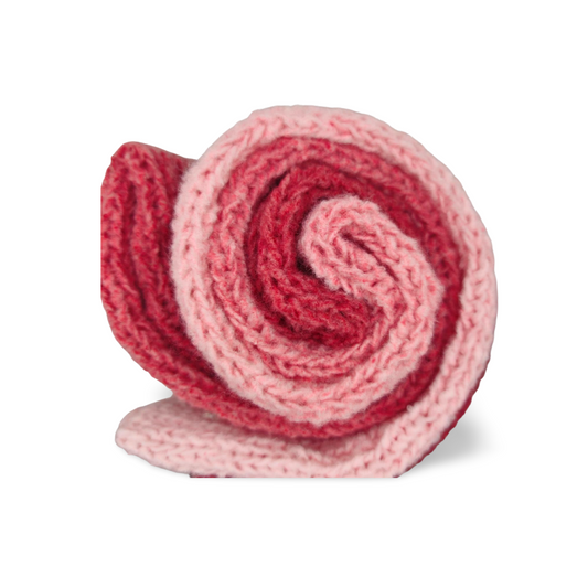 Soft Shades of Red and Pink Scarf