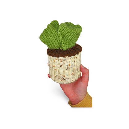 Succulent Plant - Bianca La Luna Knits