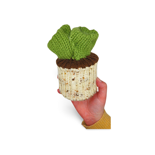 Succulent Plant - Bianca La Luna Knits