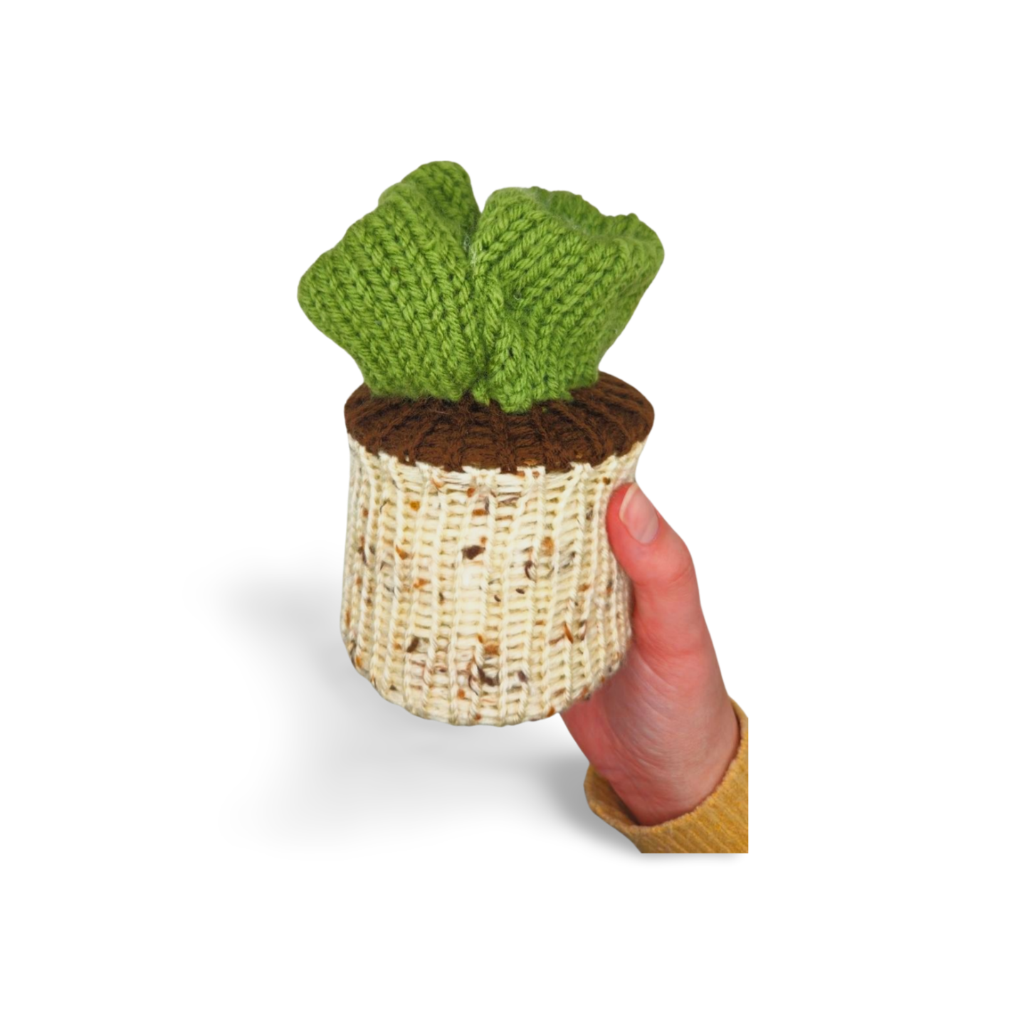 Succulent Plant - Bianca La Luna Knits