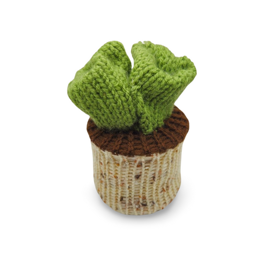 Succulent Plant - Bianca La Luna Knits