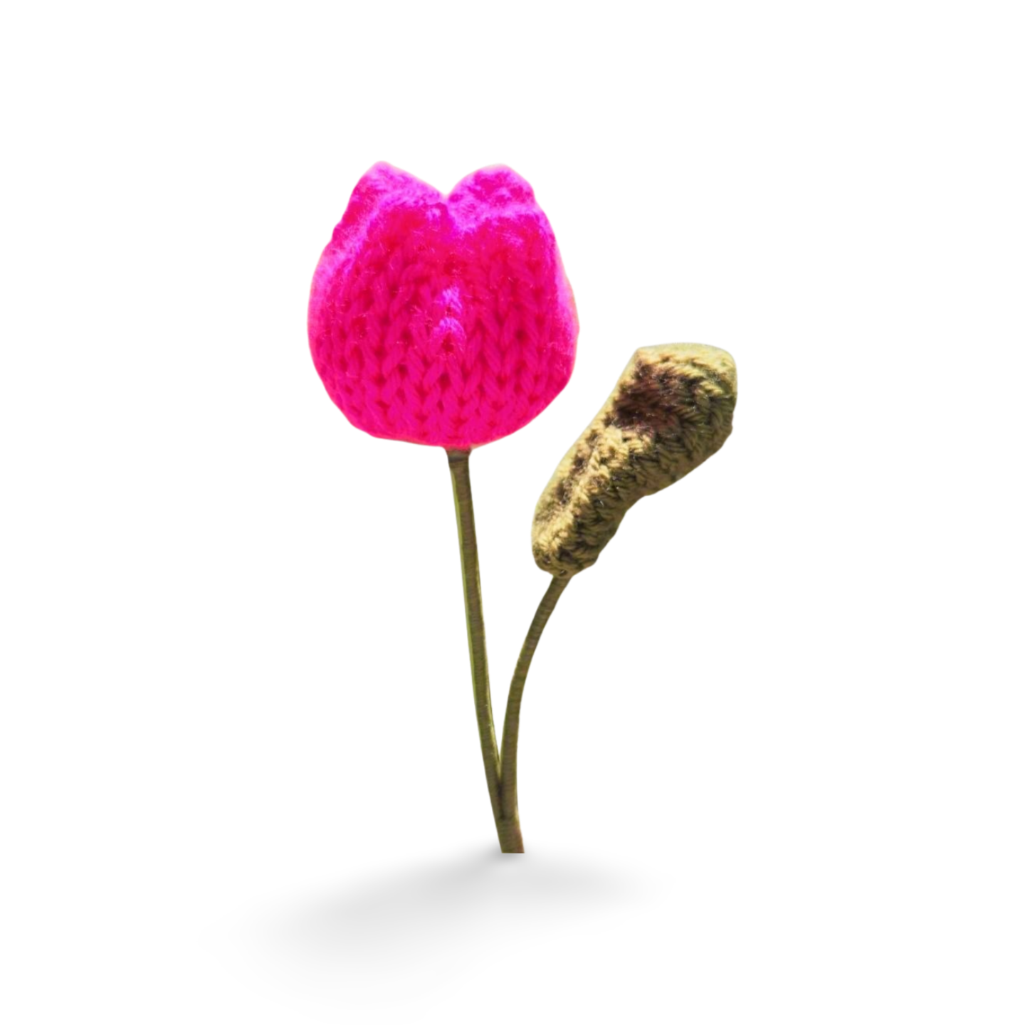 Tulip with Leaf in Solid Colours