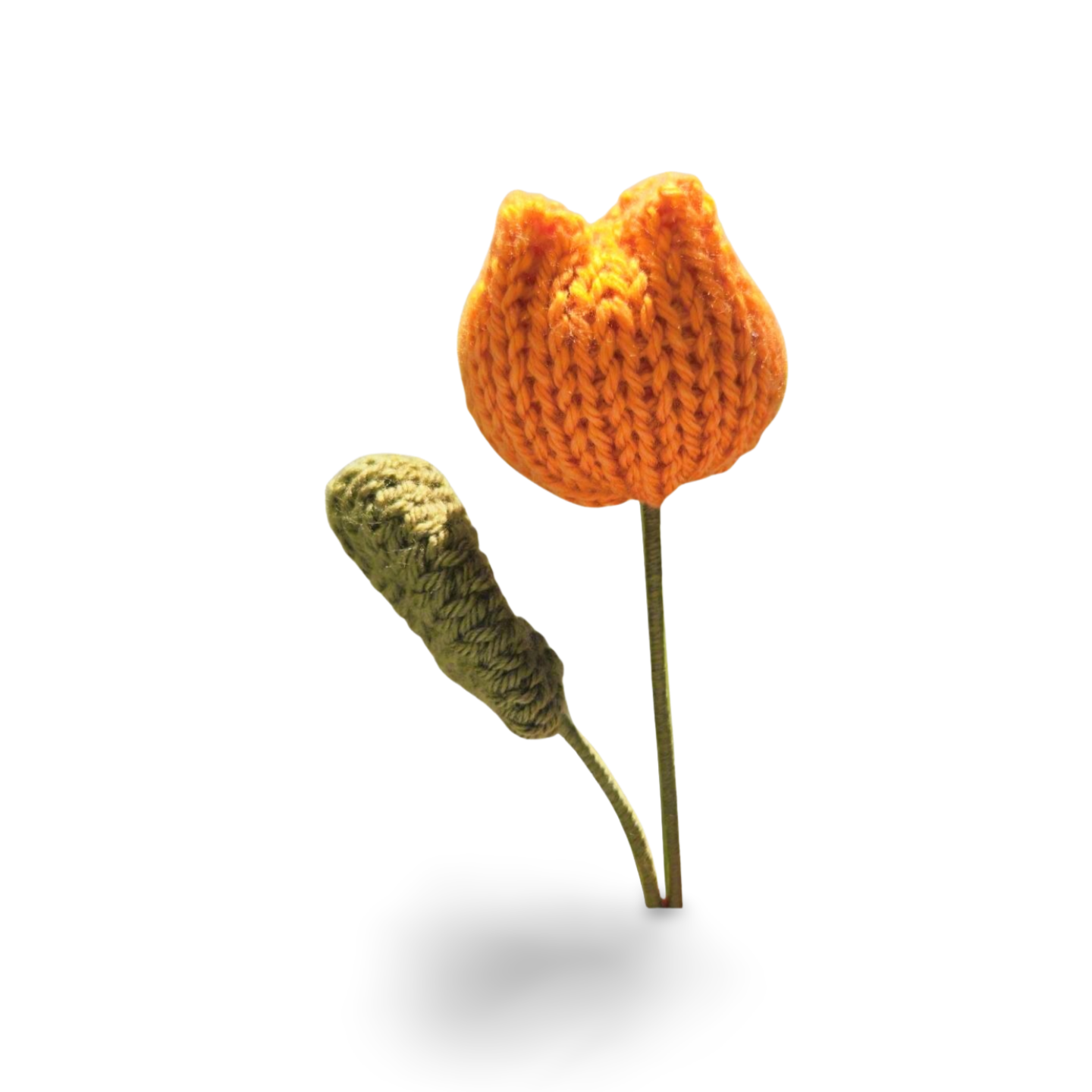 Tulip with Leaf in Solid Colours