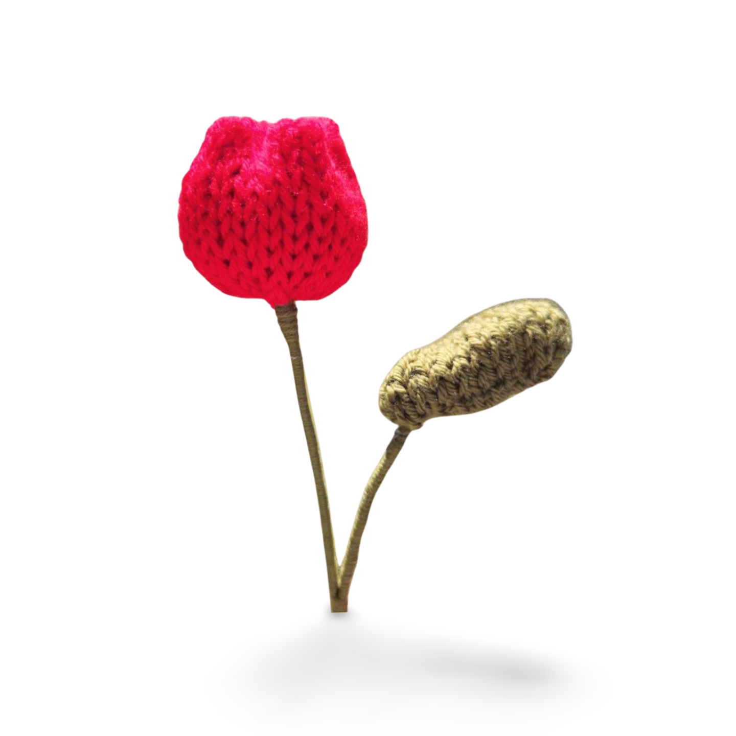 Tulip with Leaf in Solid Colours