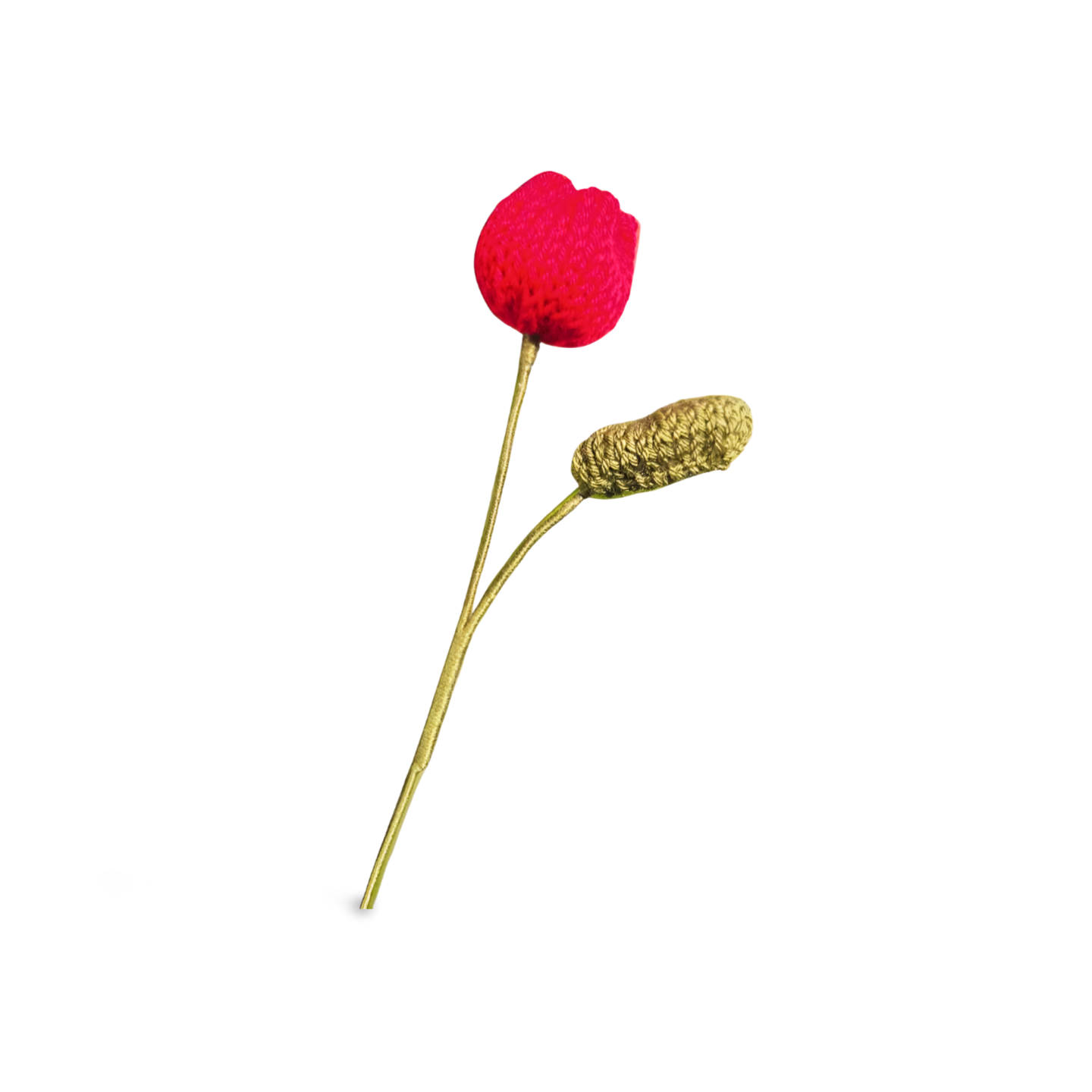 Tulip with Leaf in Solid Colours