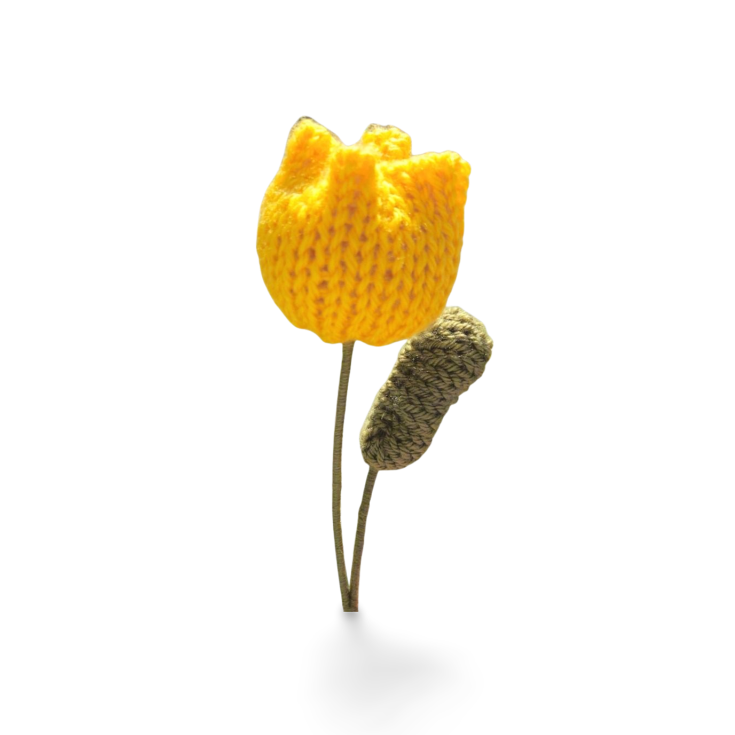 Tulip with Leaf in Solid Colours