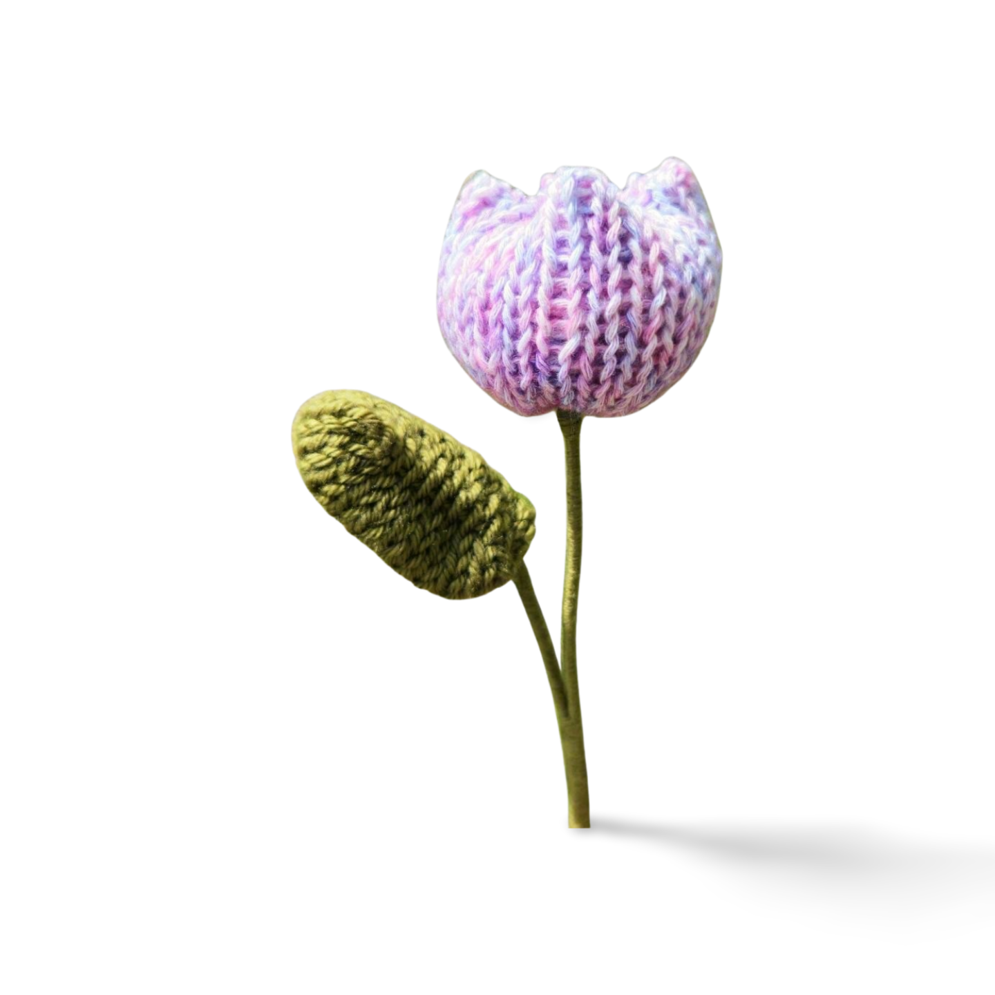 Tulip with Leaf in Solid Colours