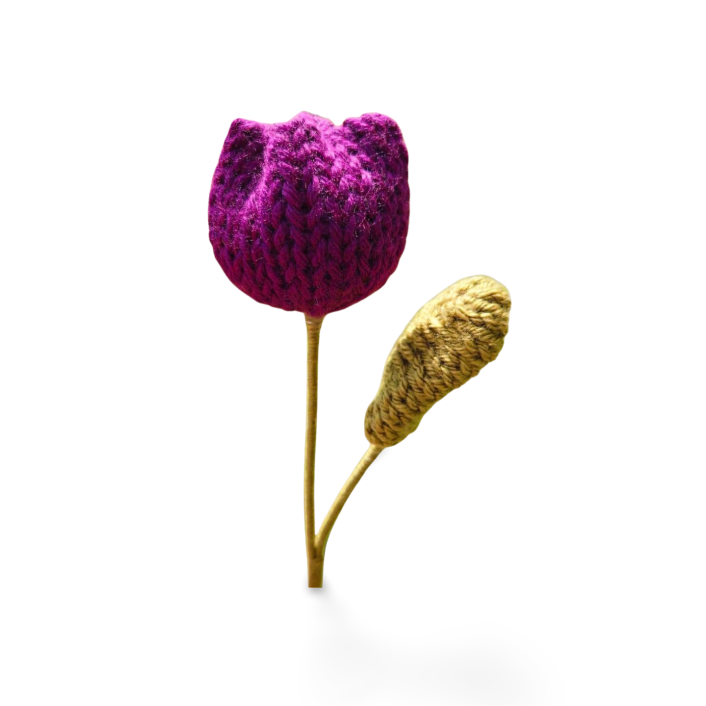 Tulip with Leaf in Solid Colours